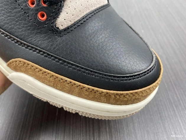Reps TBK Elephant Desert Jordan Air CT8532-008 3 0706